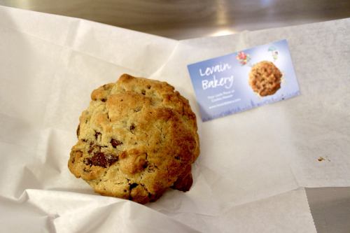 13490786_10154258382184481_1714423344524919145_o